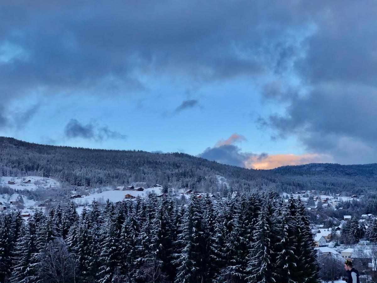 Le Bois Des Neiges Charmant Chalet Authentique A 5 Mn De Gerardmer Xonrupt-Longemer Eksteriør bilde