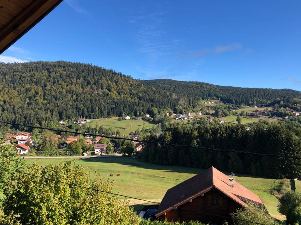 Le Bois Des Neiges Charmant Chalet Authentique A 5 Mn De Gerardmer Xonrupt-Longemer Eksteriør bilde