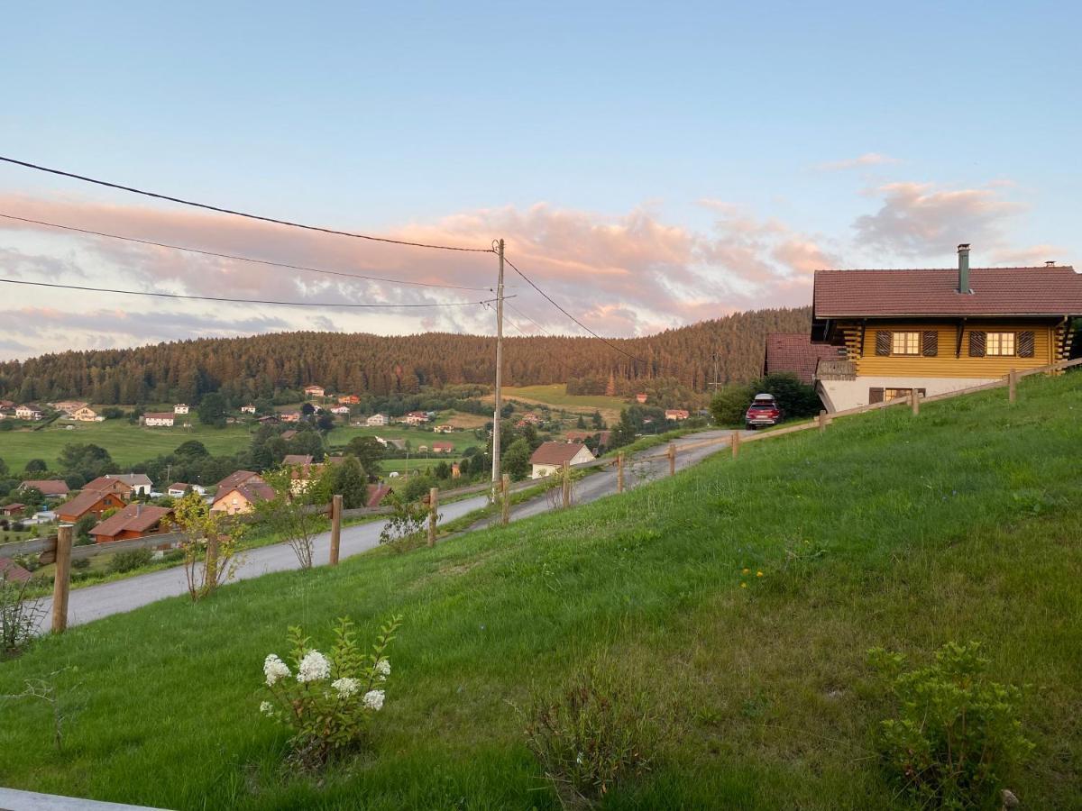 Le Bois Des Neiges Charmant Chalet Authentique A 5 Mn De Gerardmer Xonrupt-Longemer Eksteriør bilde