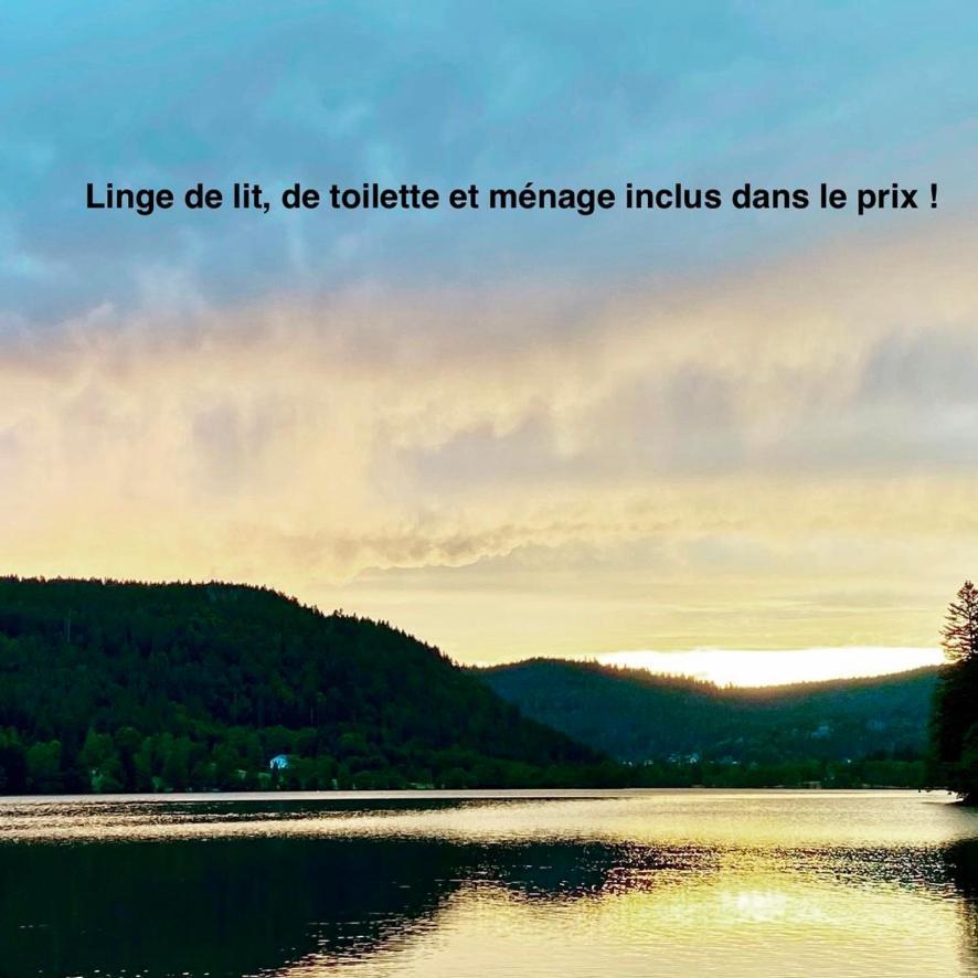 Le Bois Des Neiges Charmant Chalet Authentique A 5 Mn De Gerardmer Xonrupt-Longemer Eksteriør bilde